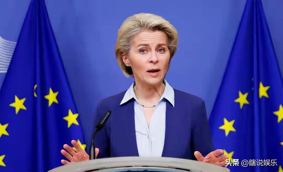 说欧盟双标也罢，说欧明阴险也行，甚至说欧洲不是个玩意儿都可以，但是欧盟就是干得出