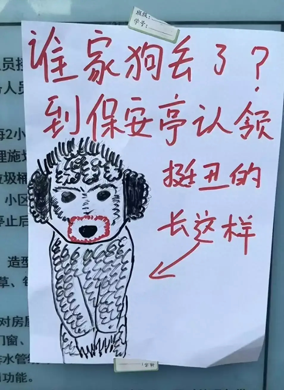爱狗走失，门房大爷潦草一画，以为是灵魂涂鸦，没想到竟如此传神 ​​​