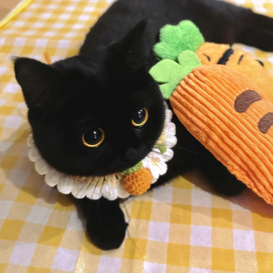 春天里的小野餐🧺