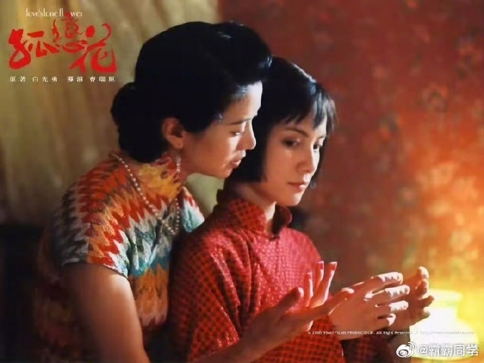 李心洁袁咏仪浪姐7冷门真cp这对绝对是浪姐黑马CP，没有刻意营销，全是真实情谊，