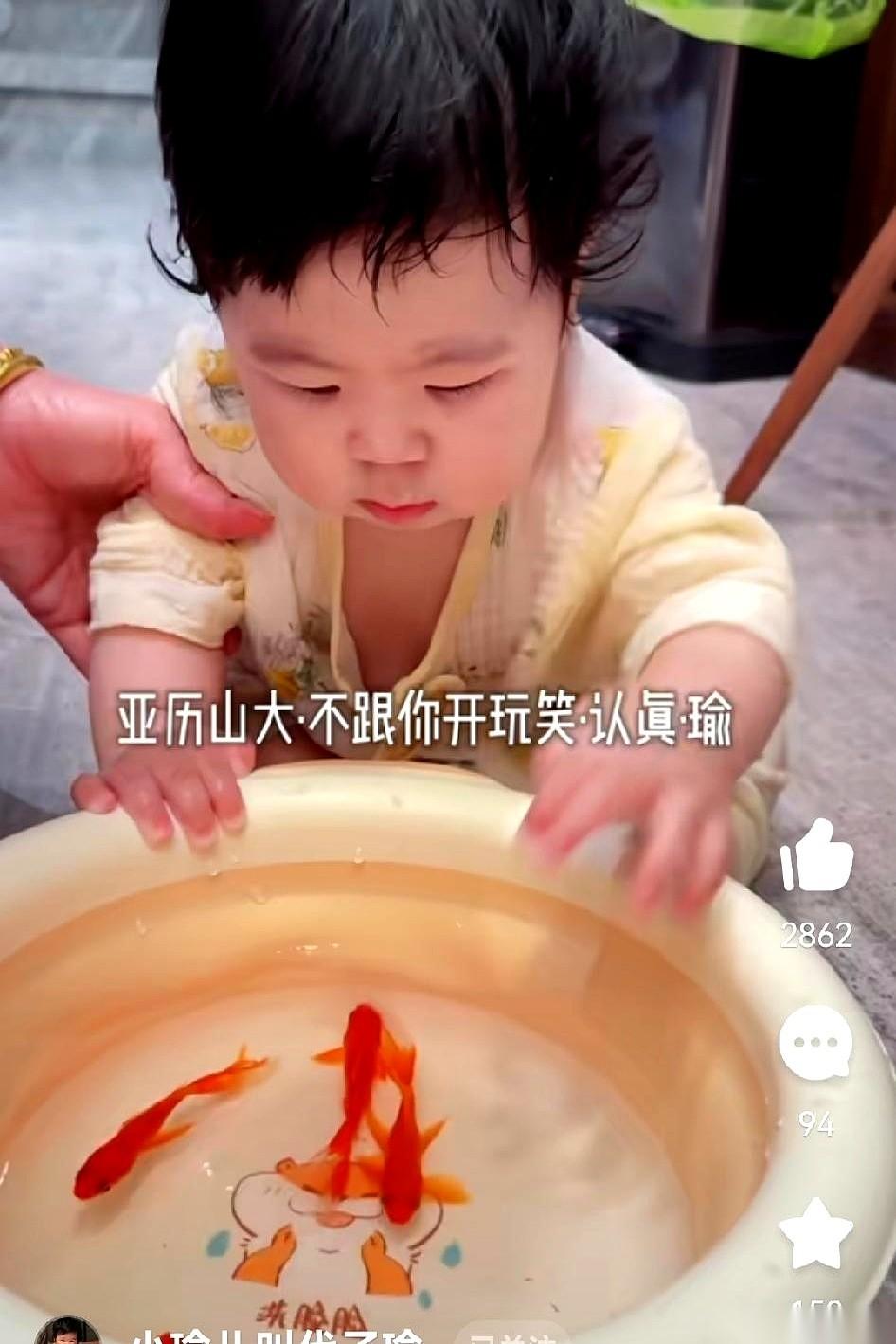“啪”的一声，路嫂把一大袋活蹦乱跳的小金鱼甩在了客厅中央。
代家这两个男人，丈夫