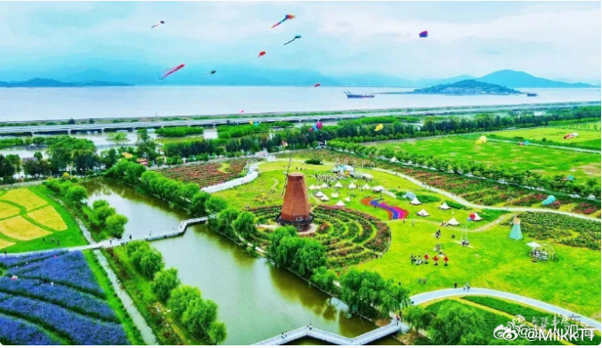 鸟中贵族黑脸琵鹭组团打卡玉环清晨，近 300 只黑脸琵鹭飞抵玉环漩门湾，创近年单