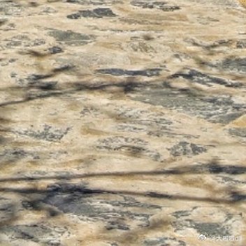 十几年光阴流逝，我终于明白：春草初生，春林初盛，春风十里，不如你 