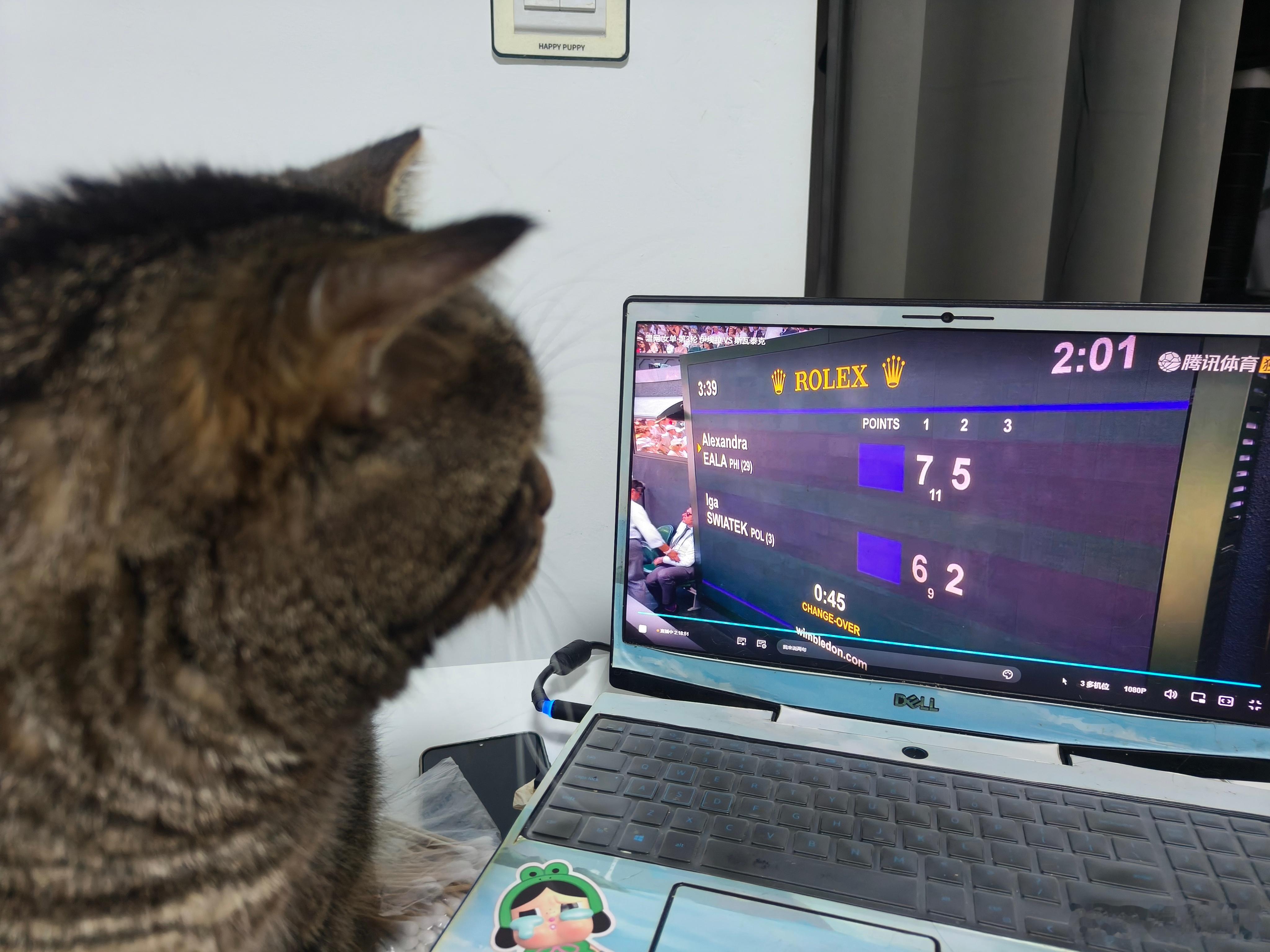 小猫也在看温网🎾斯瓦泰克vs伊埃拉温网