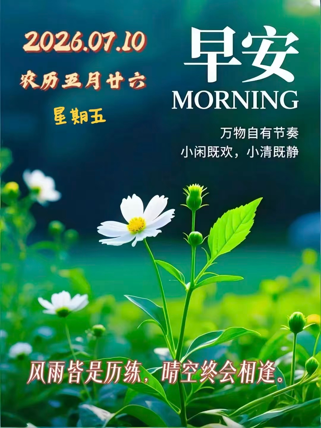 💐🌺晨光缓缓🌸💐💞²⁰²⁶/7.10. 五月廿六☀️⛵️清风消暑,安康