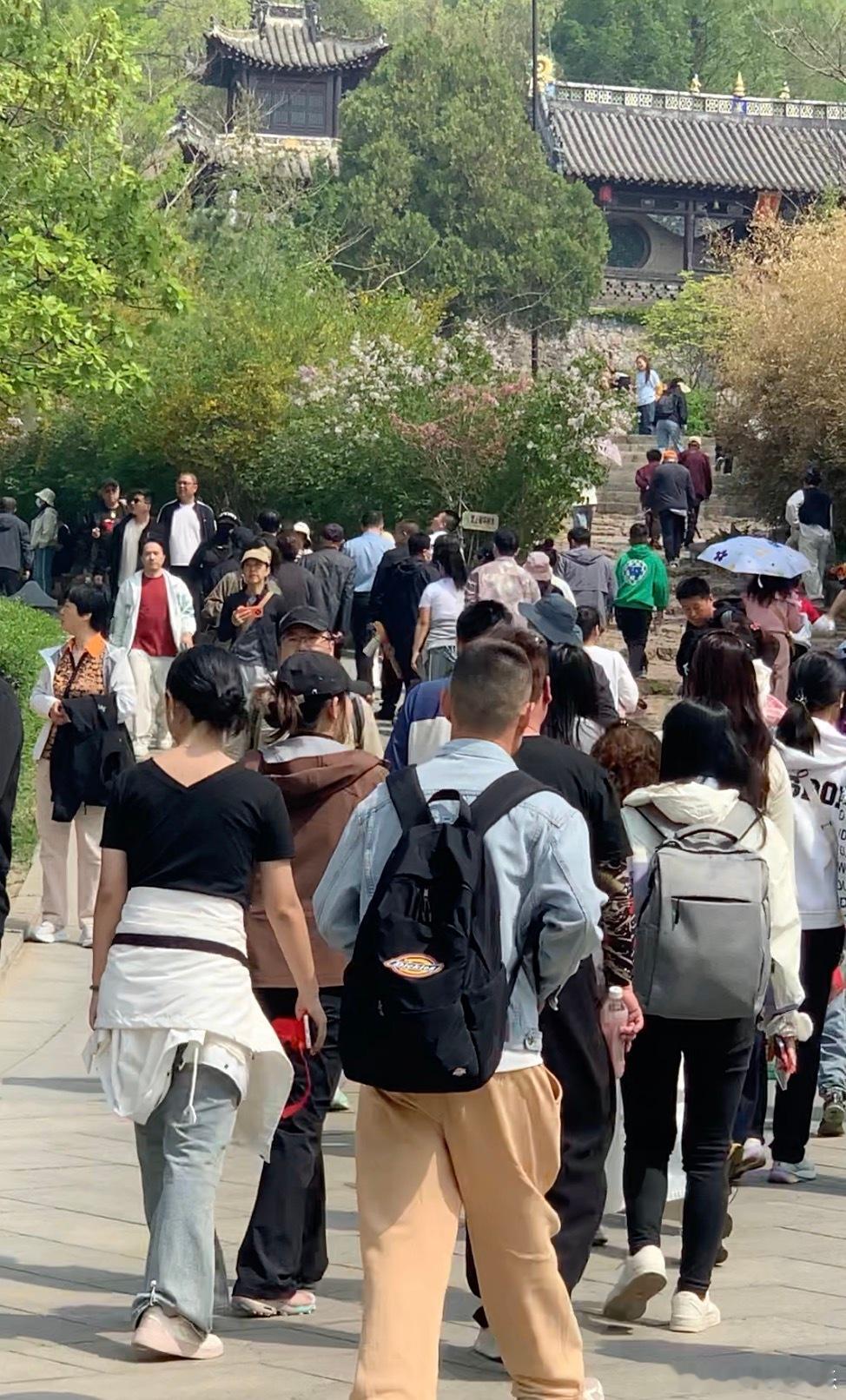 有没有人跟我一样，本来只是想随便走走，结果被大孤山“套住”了？天后宫停一下，银杏