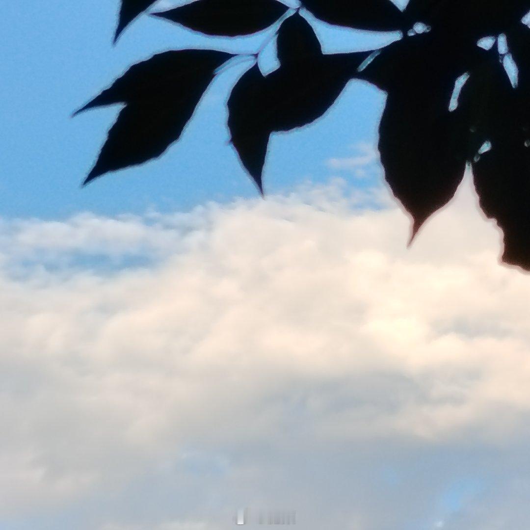 秋意绵绵，美景都在路上～ ​​​