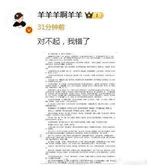 导演羊羊羊道歉熊志豪为草率创业致巨额欠债致歉，愿独自扛下全部债务尽力偿还。江南微