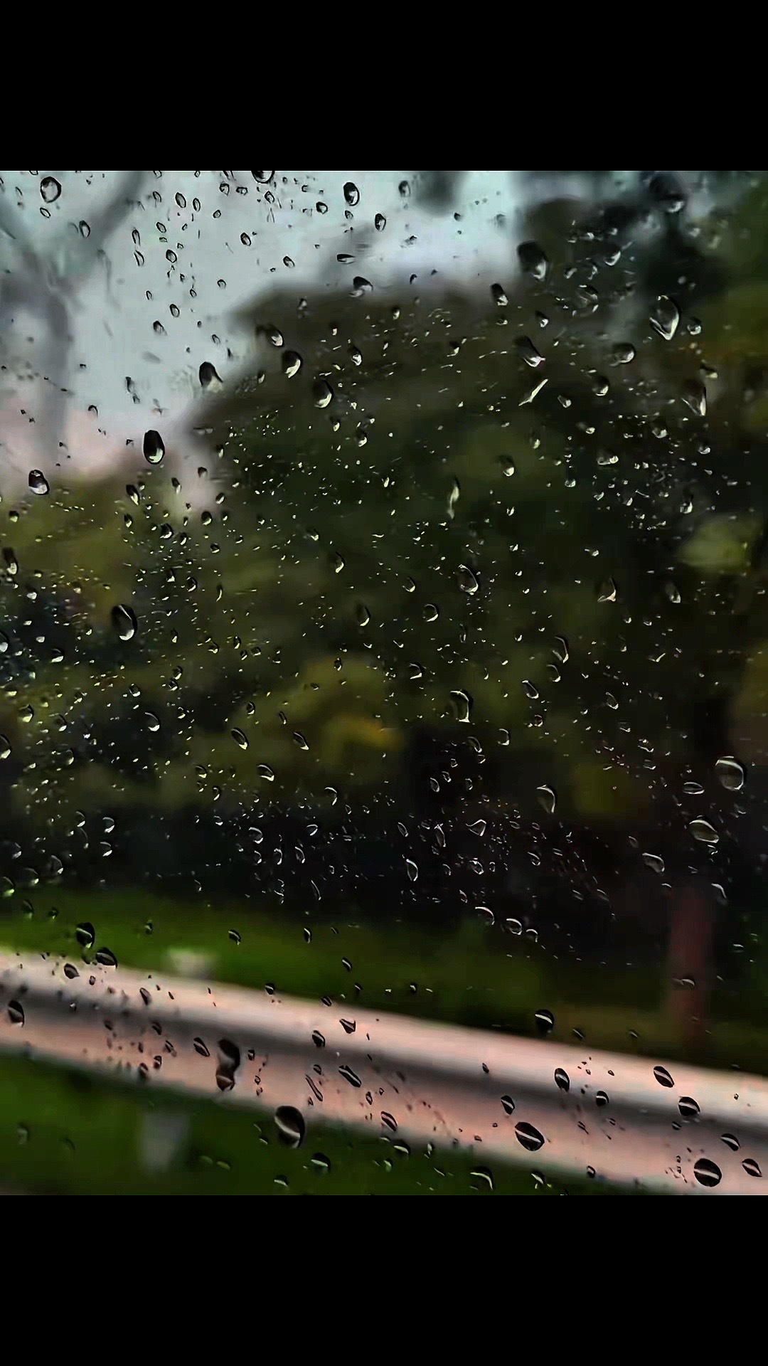 张子墨  大部分人 都只是我生命的玻璃窗上缓缓划过的雨水但如果是你的话 我情愿我