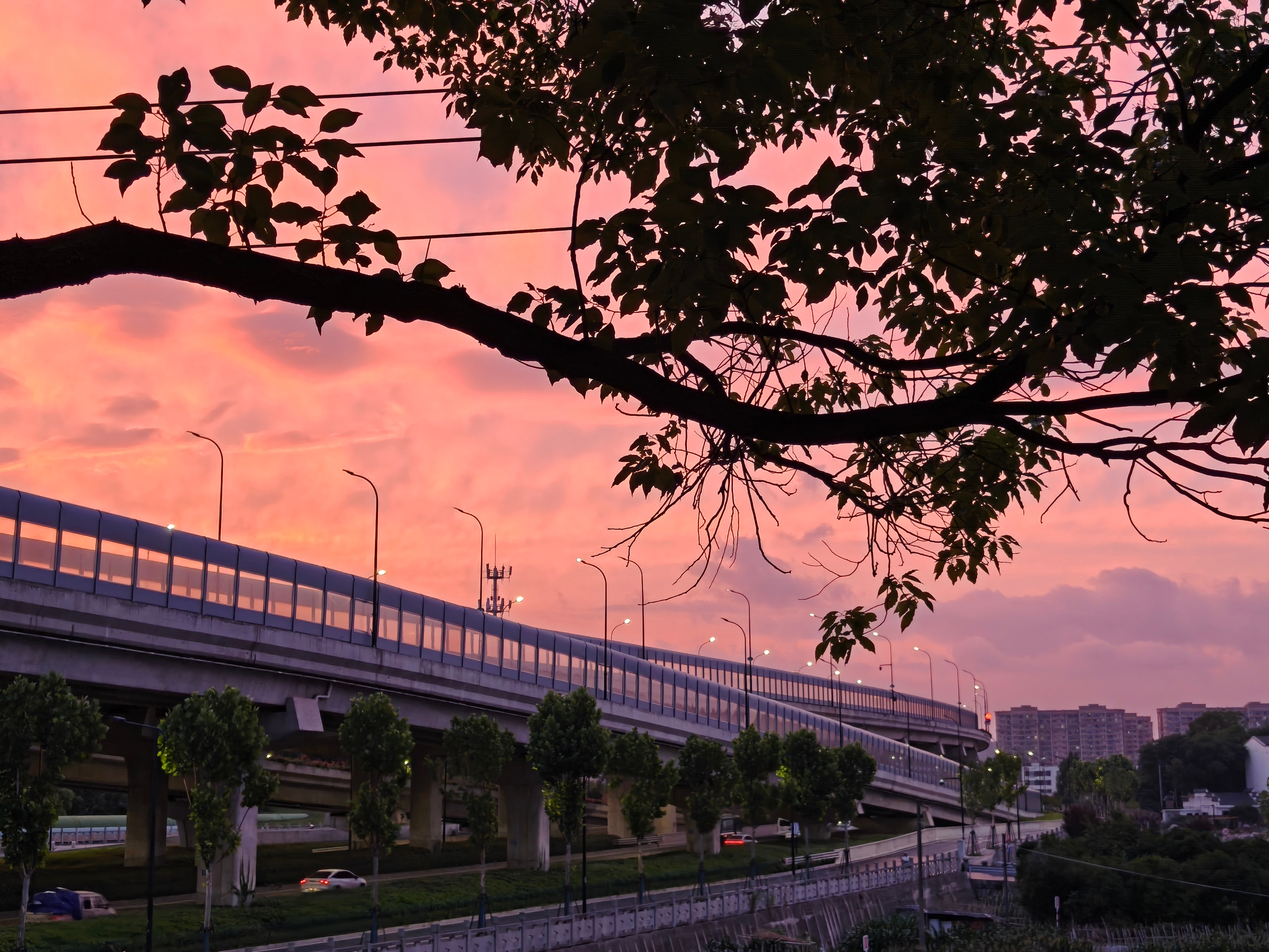 杭州的夕阳太美了！这几天的气温也是超级舒服～ ​​​
