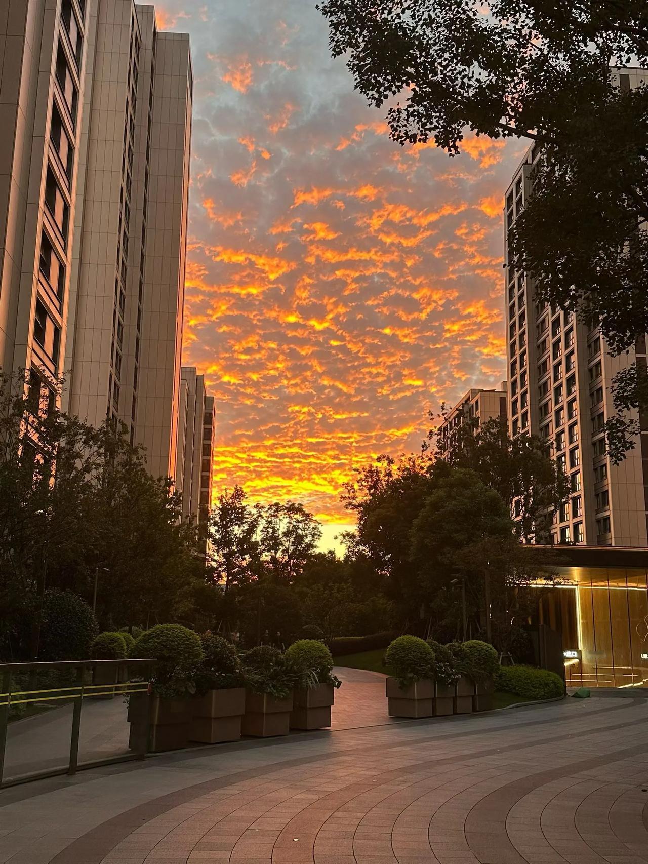 广东深圳、美丽的晚霞:
天空不小心打翻了调色盘 
橘色与粉紫色在云絮间洇染。
落