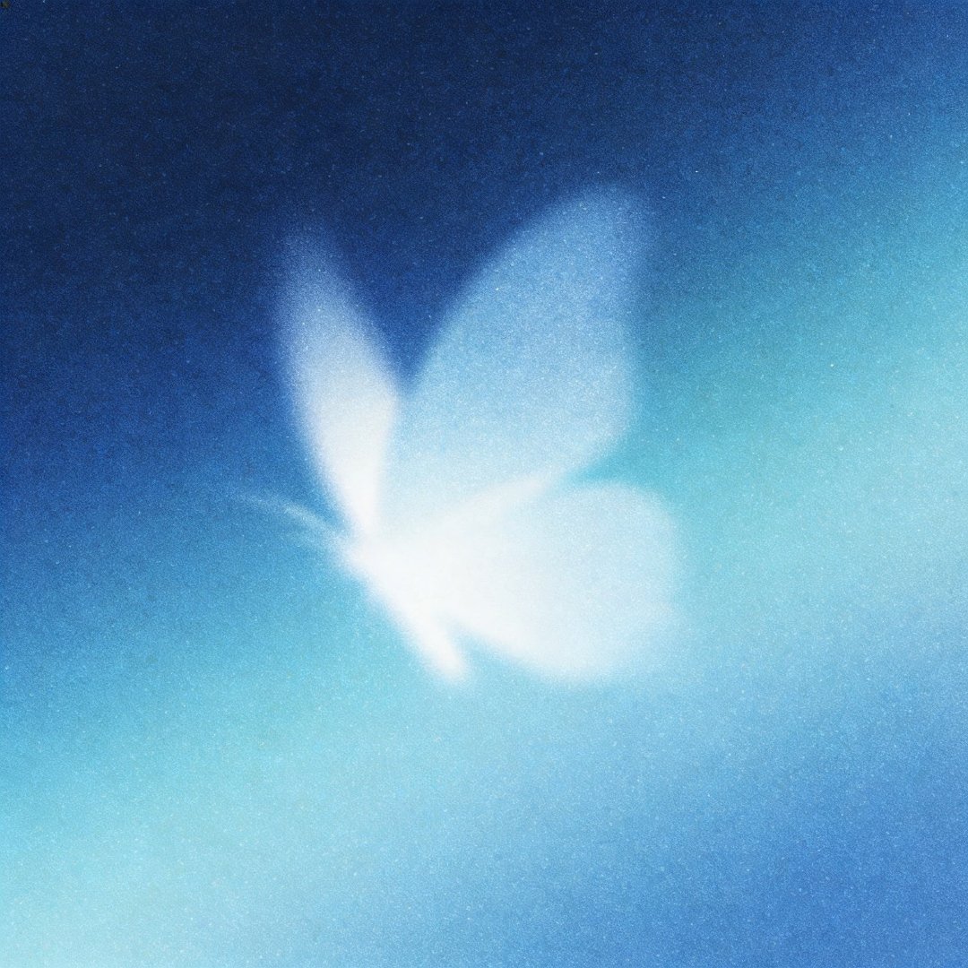 Butterfly🦋田曦薇