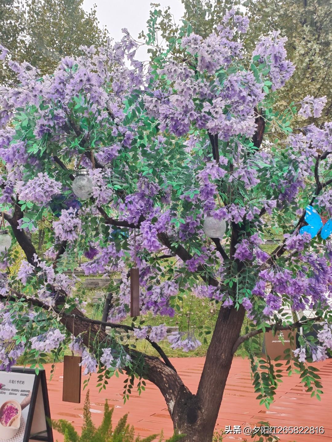 不赞同未婚同居。至于为什么？我跟你介绍两个未婚同居的年轻女娃，你,就了解其中的道