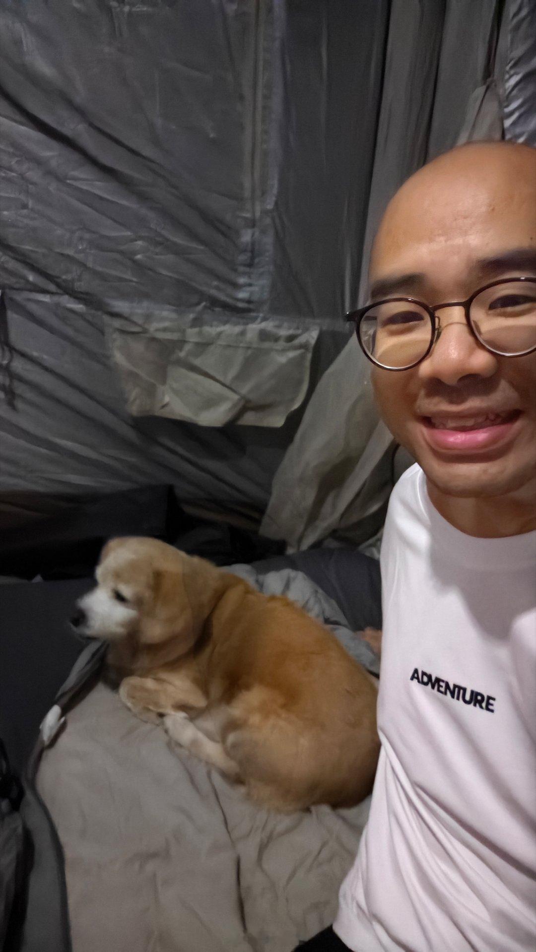 前几天晚上露营，抱着小可在睡袋里睡的。小可太暖和了时哥大女儿小可（狗）