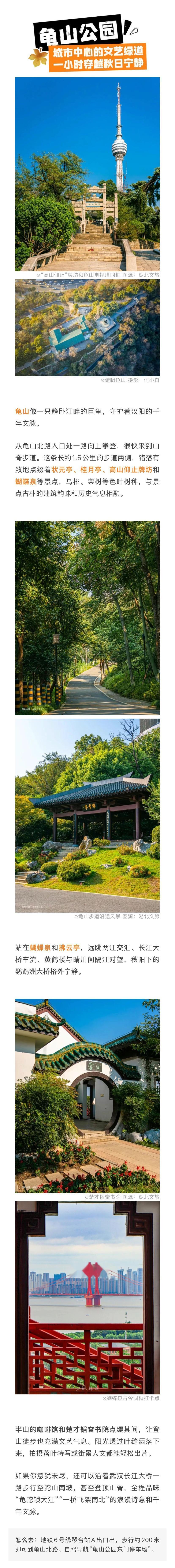 武汉登山徒步赏秋指南【发布！武汉秋日最美徒步线路来了】总长2426余公里的绿道，