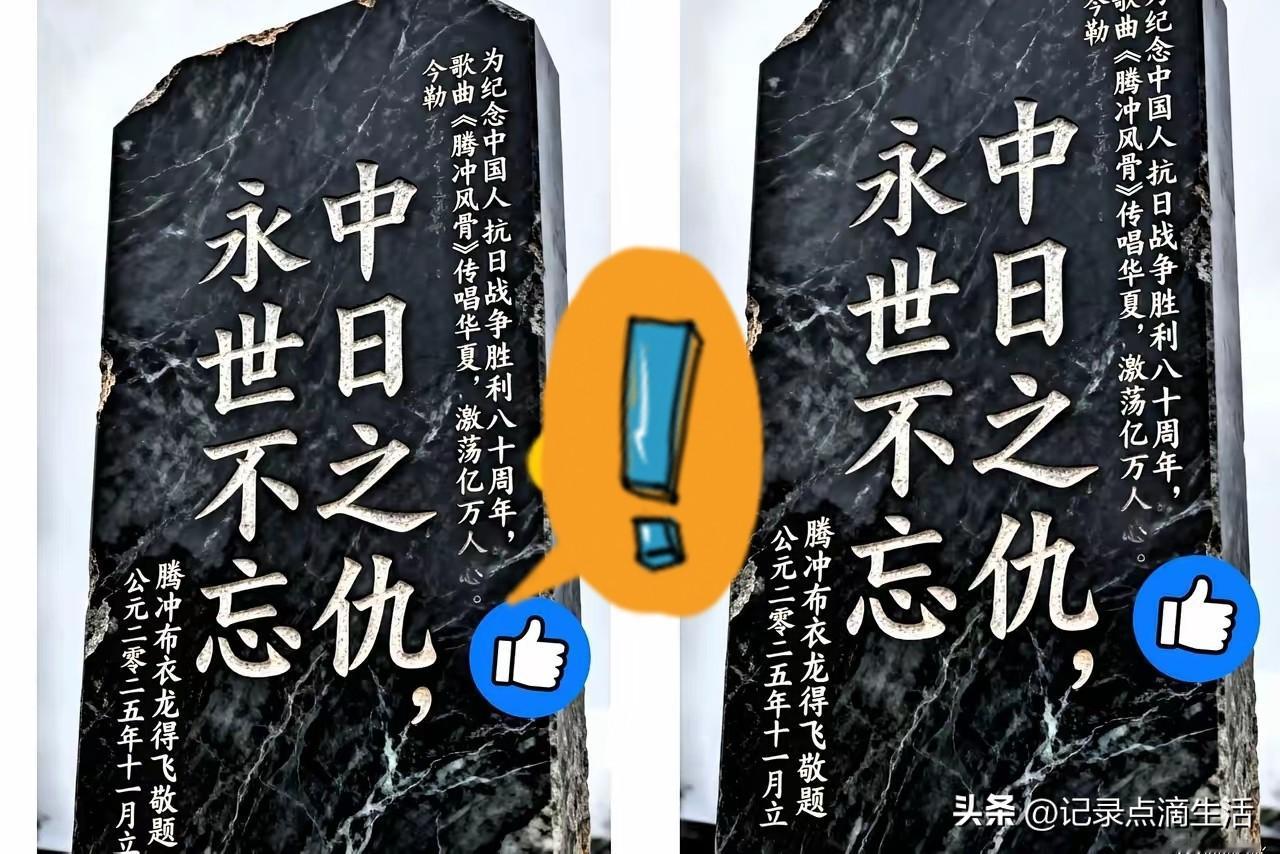 一直怀疑那些无脑举报抗战纪实类电影、电视剧的都是对岸派来水军，没想到不止是日本有