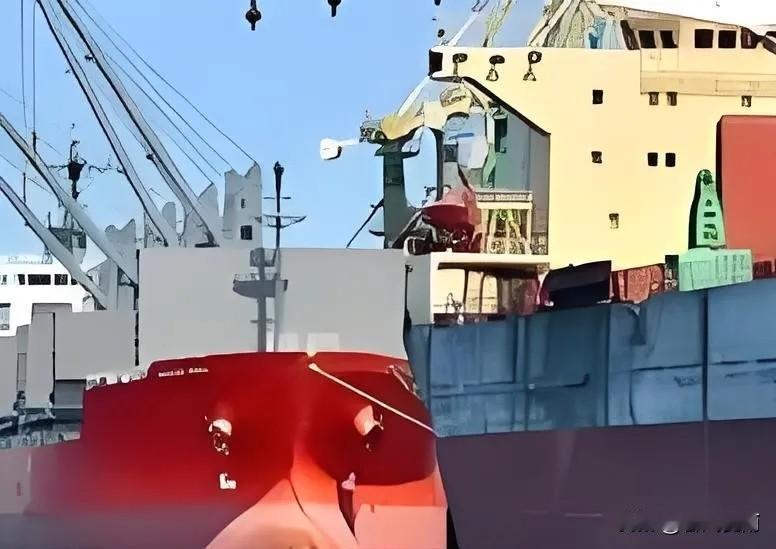 一船满载6.9万吨巴西大豆的货轮靠泊江苏泰州码头时，谁也没想到，大豆中混入了约1