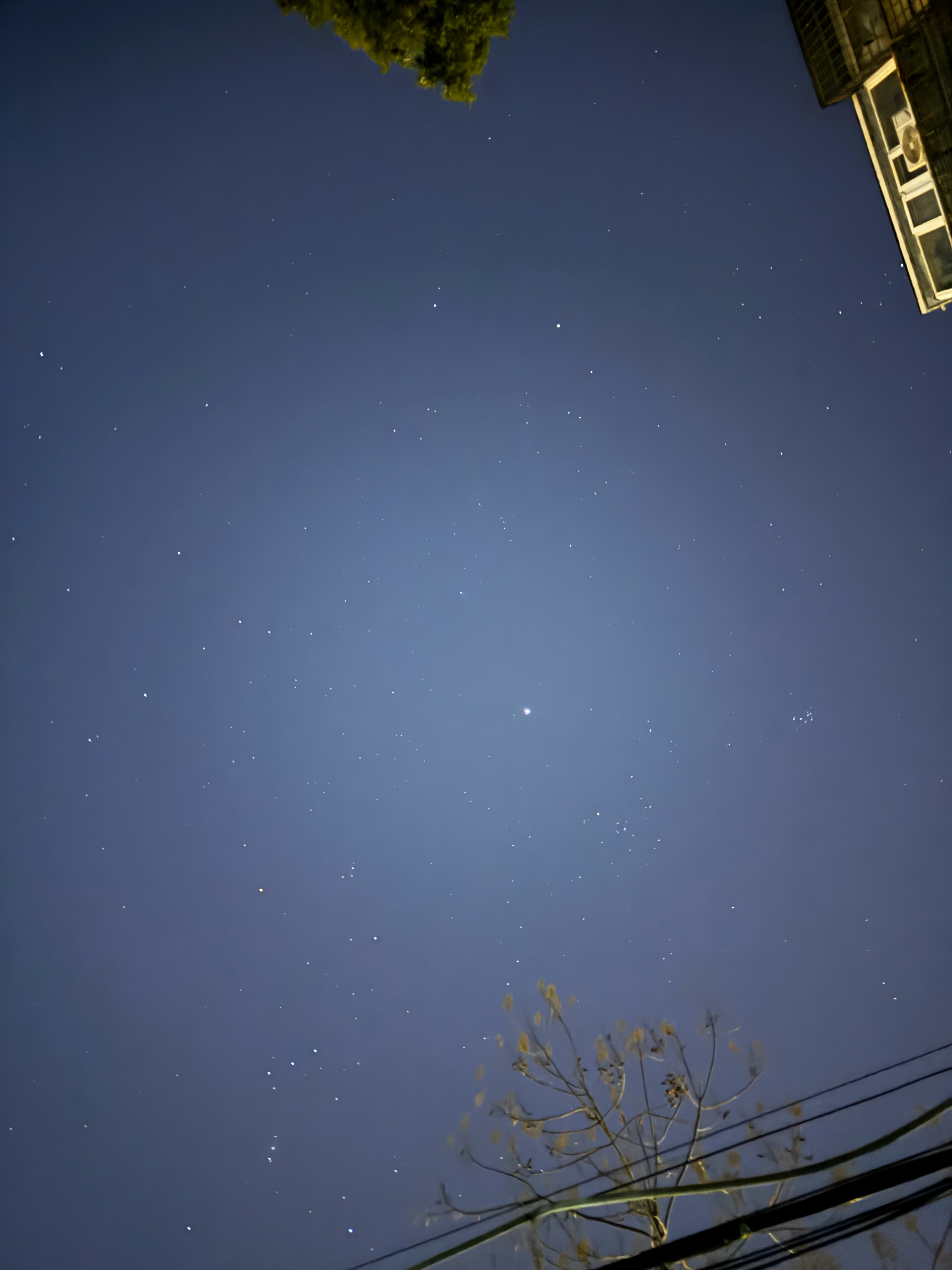 看！有星星 