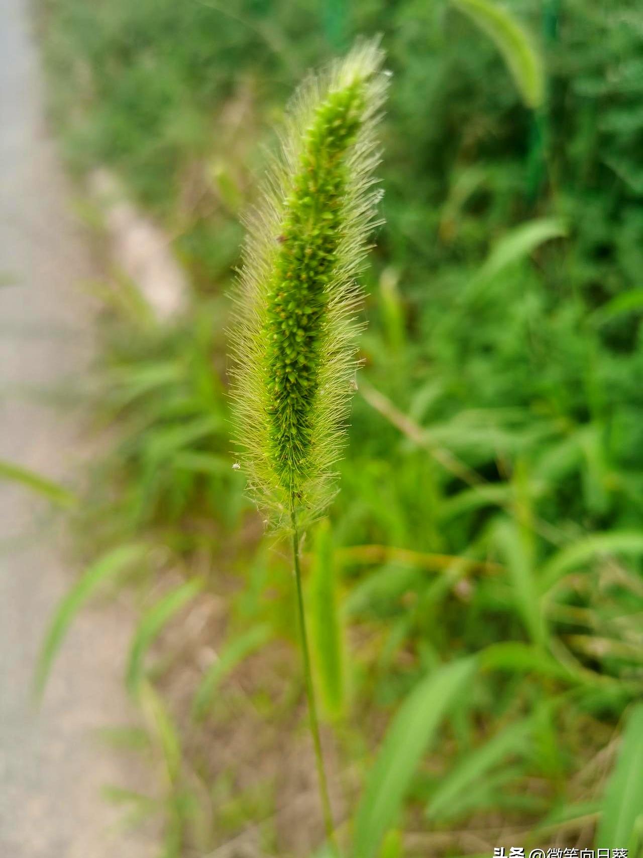 茶水间里笑成一片时，他偏偏绕过她；群里谁发动态都互捧，唯独他们俩彼此像隐身。
下