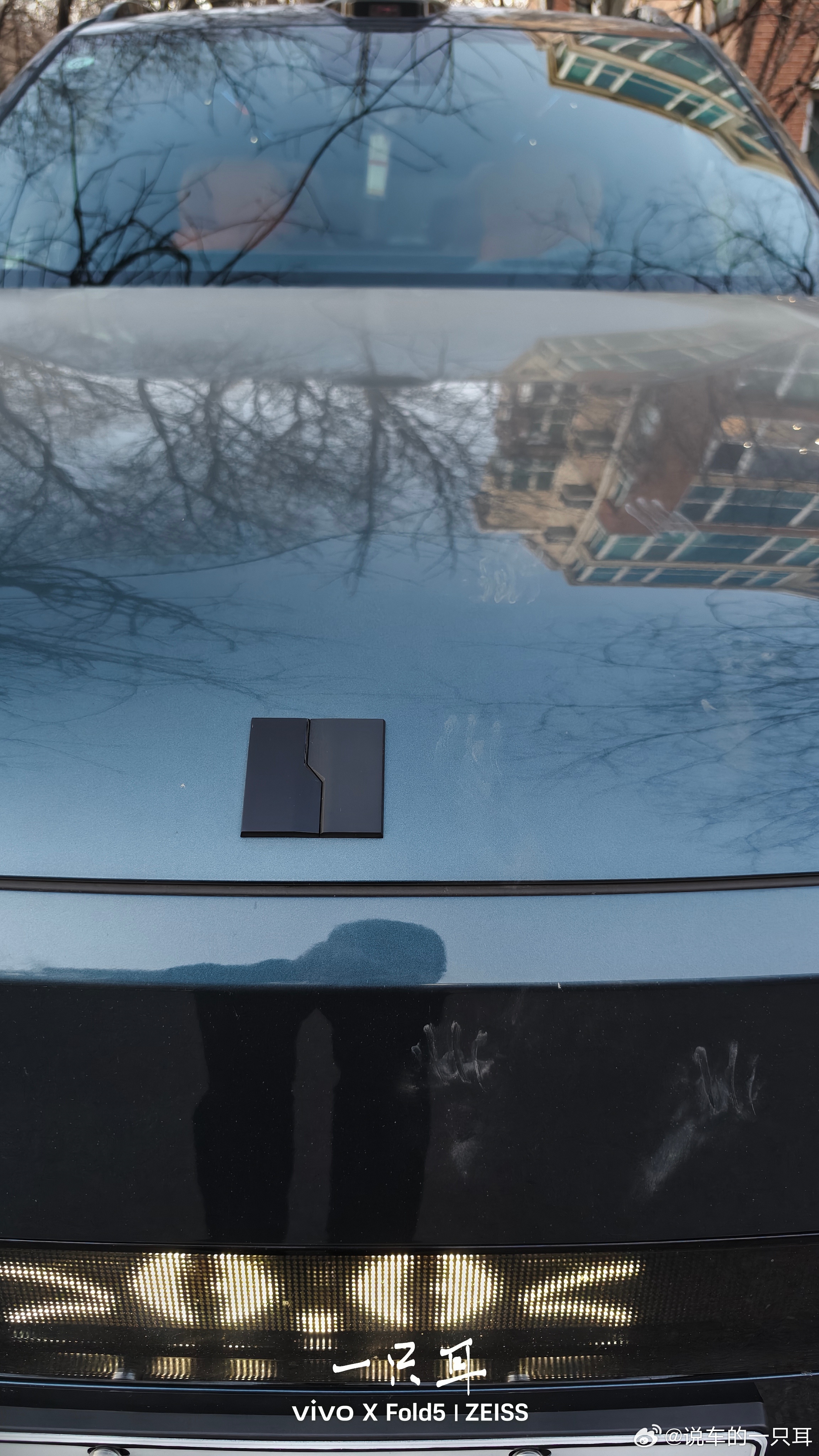 虽然挺可爱，但是……这猫猫怎么做到的飞檐走壁……900鼻子是垂直的