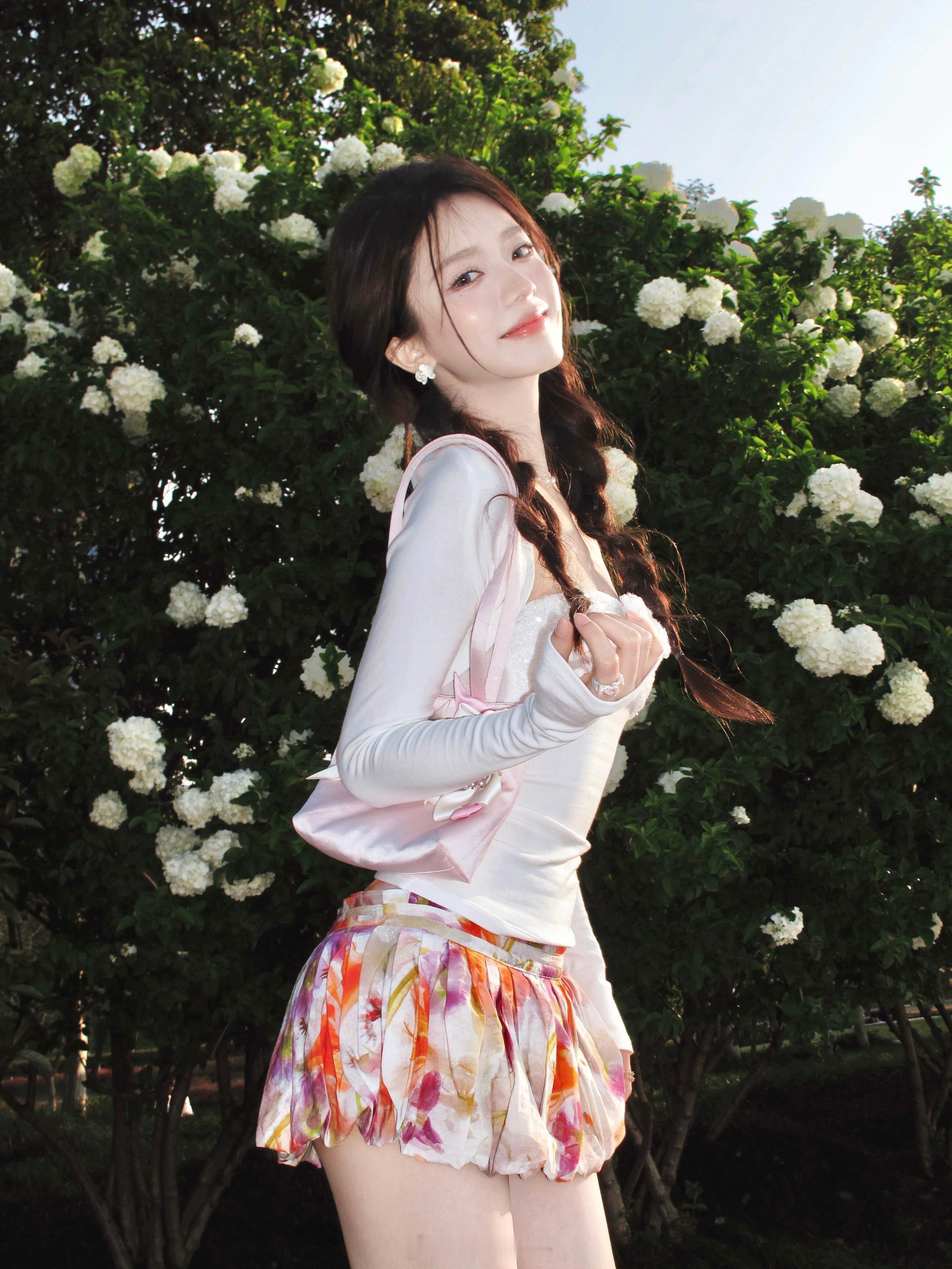 绣球花 