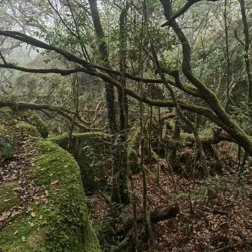 古代深山老林那么多杀手，藏尸是不是很容易？
 
杀人者都知道杀人容易藏尸难，古代