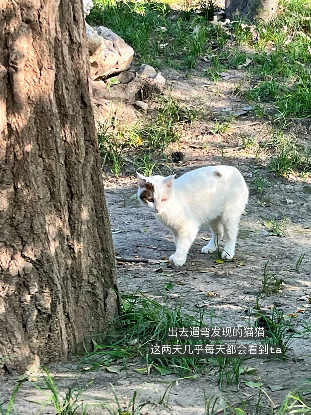清华研二｜小小中秋假期 哥学30小时拿捏👌