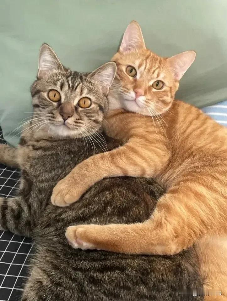 来，看镜头，拍张合照亲密一点～