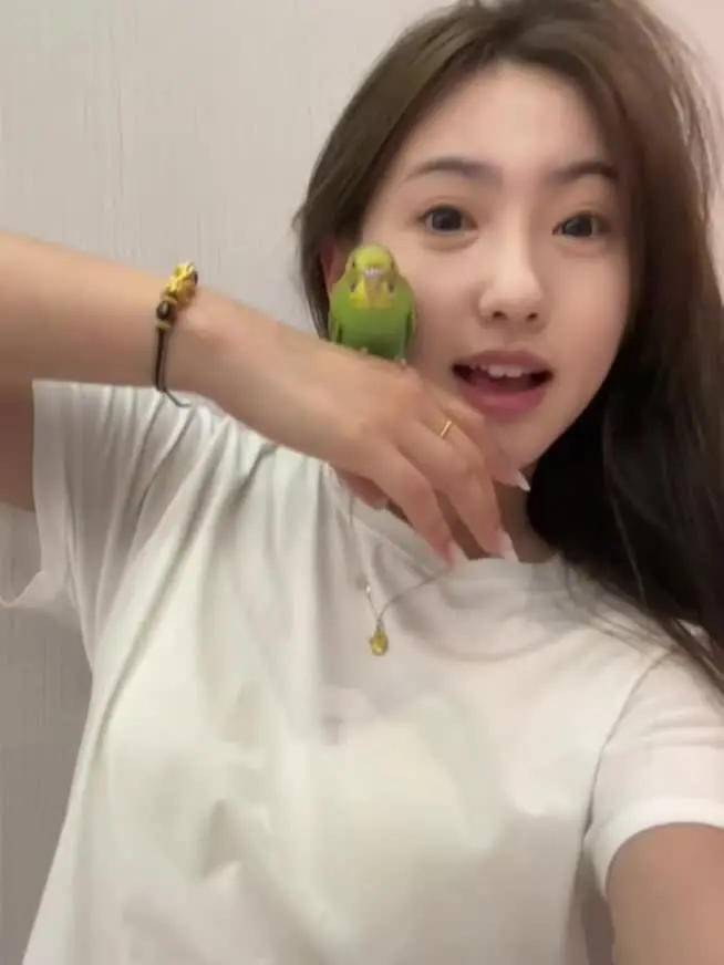 人要用一生的时间 学会分离