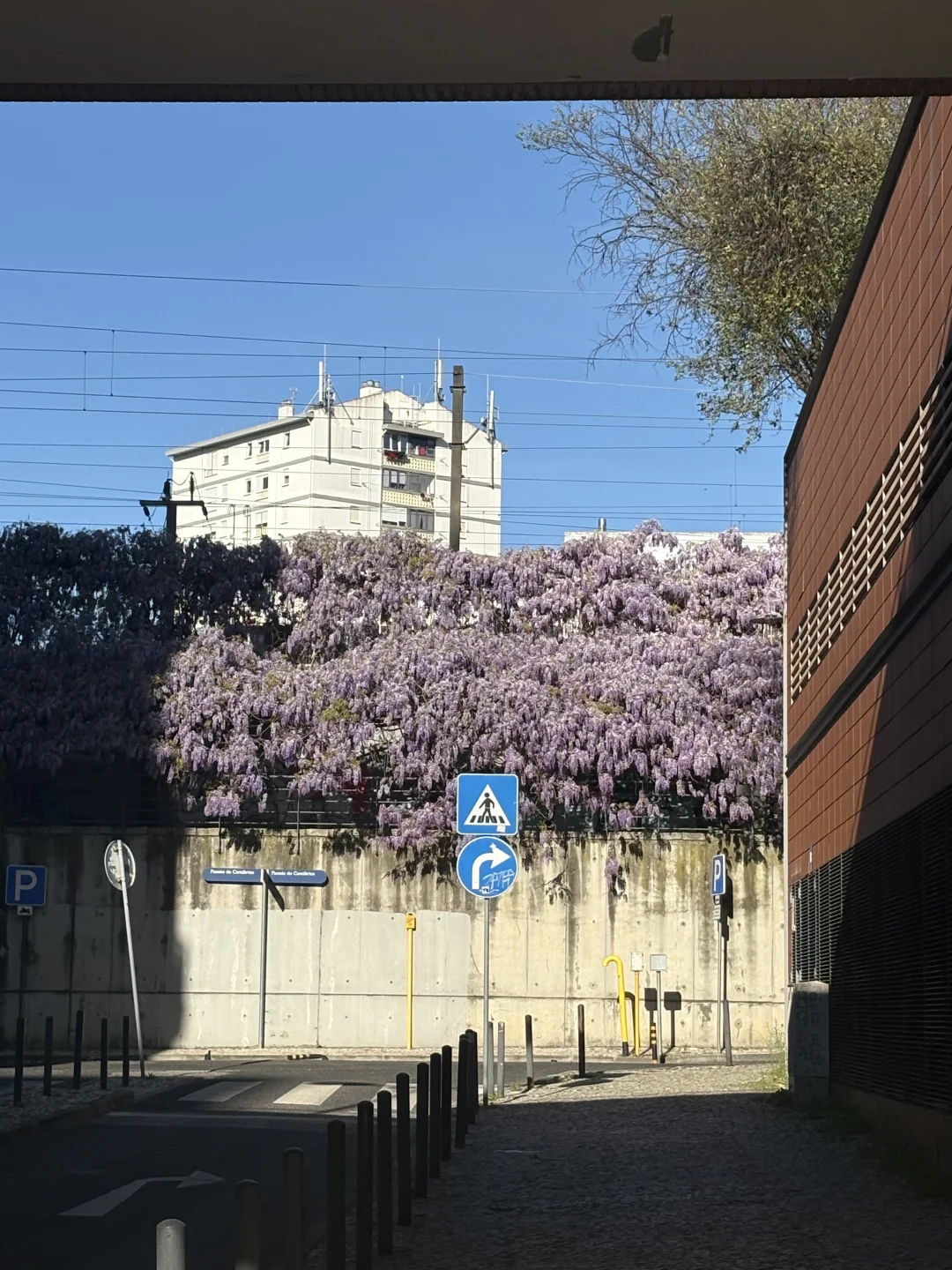 olaias出租（转发）