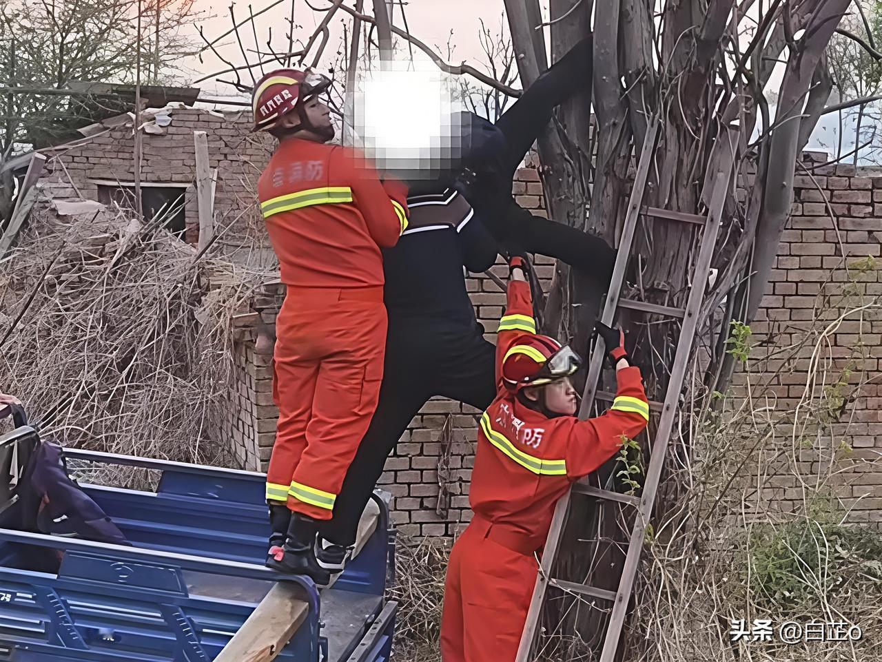 北京顺义大哥爬树摘椿倒挂7小时，3米高空卡树缝惊险救援！
 
近日顺义区上演惊险