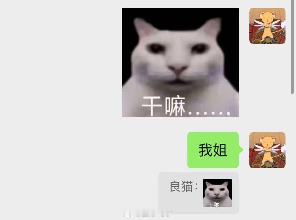 我妹和她朋友的聊天记录笑死我了，她真的天天来我房间骚扰我被我嫌弃…… 