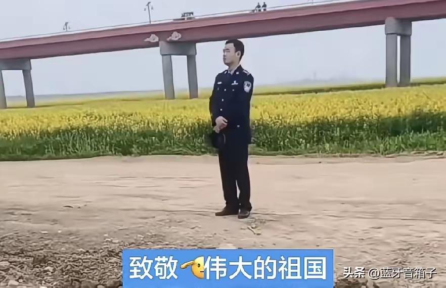 太解气！终于有人管蜜蜂的了！
看到各地出手整治破坏蜂群、滥用农药的行为，真的长长