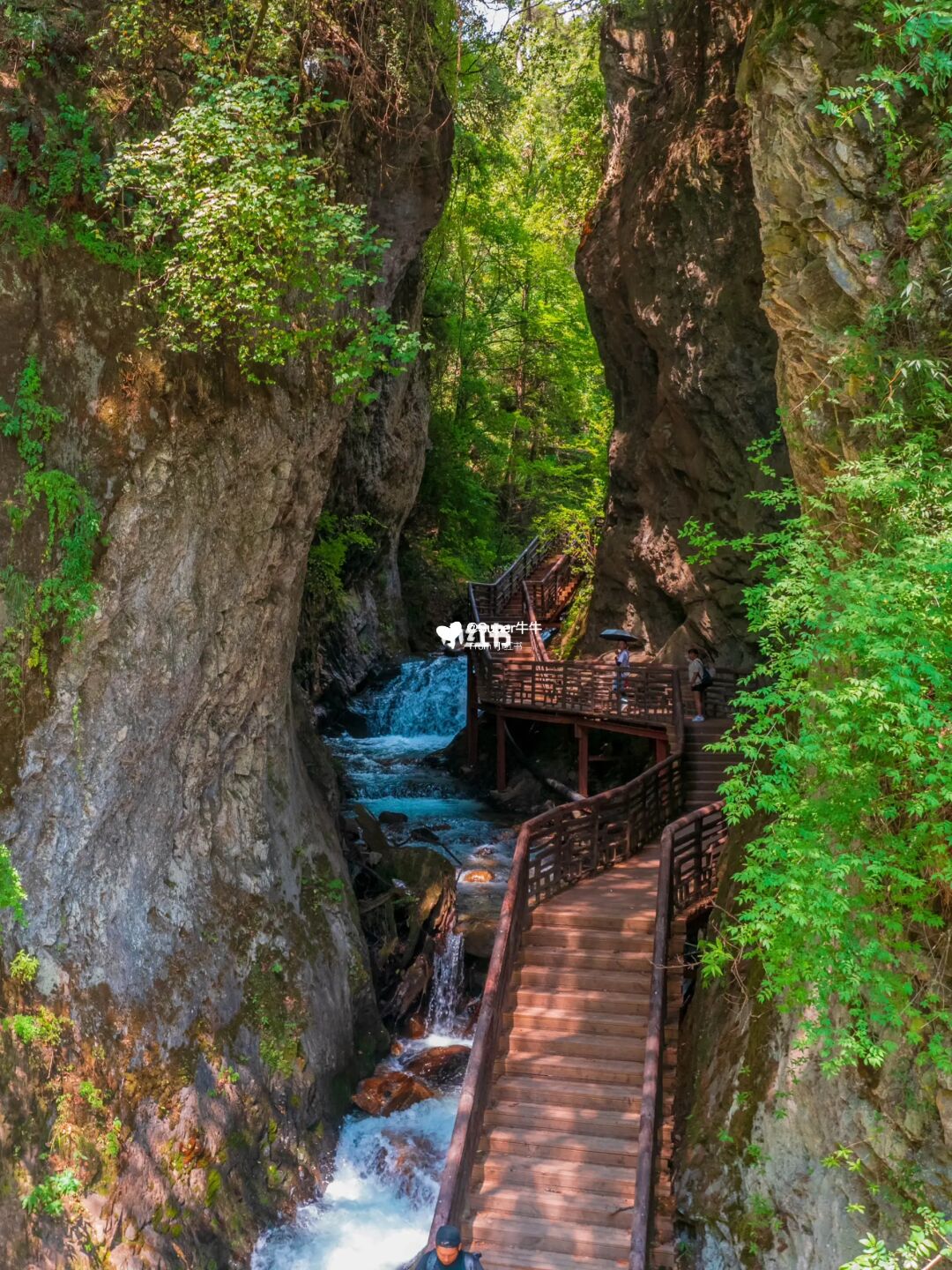 成都 | 孟屯河谷🛖山野间瀑布🌊徒步小众地