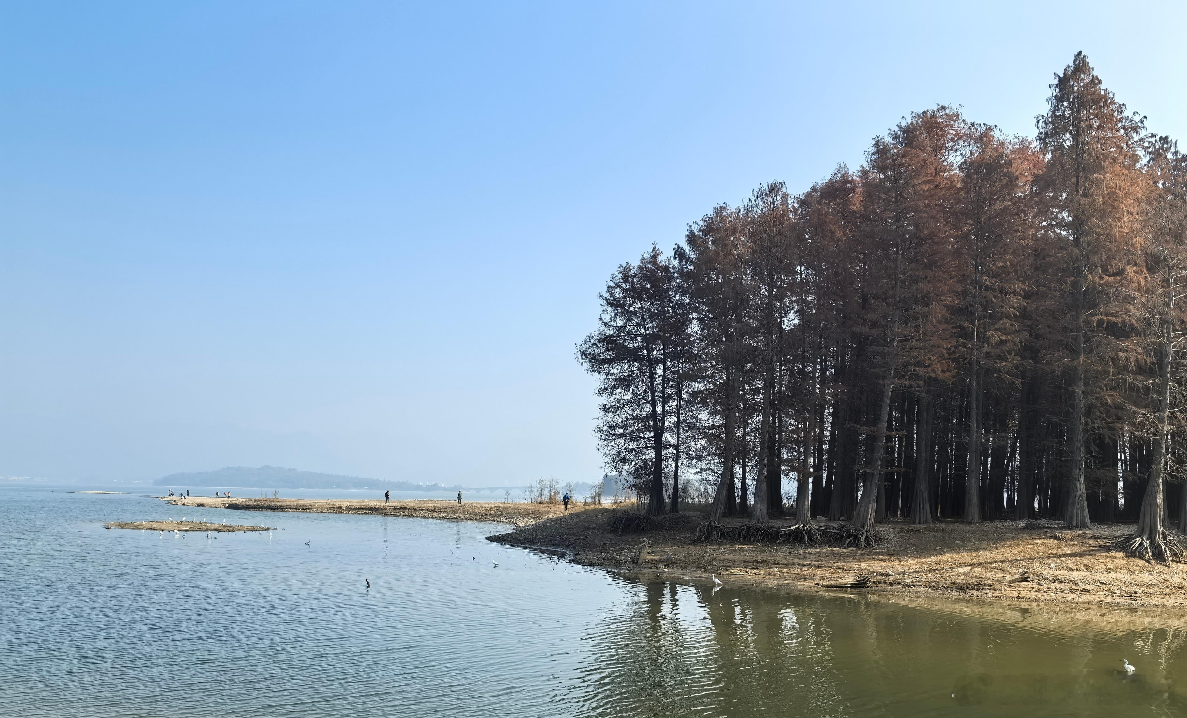 心里话        让自己走正确、不迷失，不是用电筒照路，而该常常对镜自照……