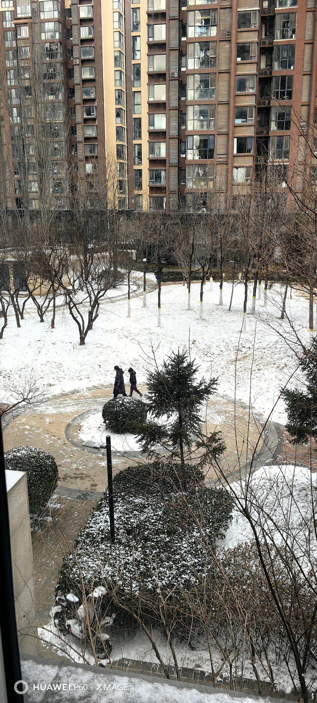 北京鹅毛大雪昨晚的雪最多算一场中雪（图一），不如2025年12月12日晚的雪大（