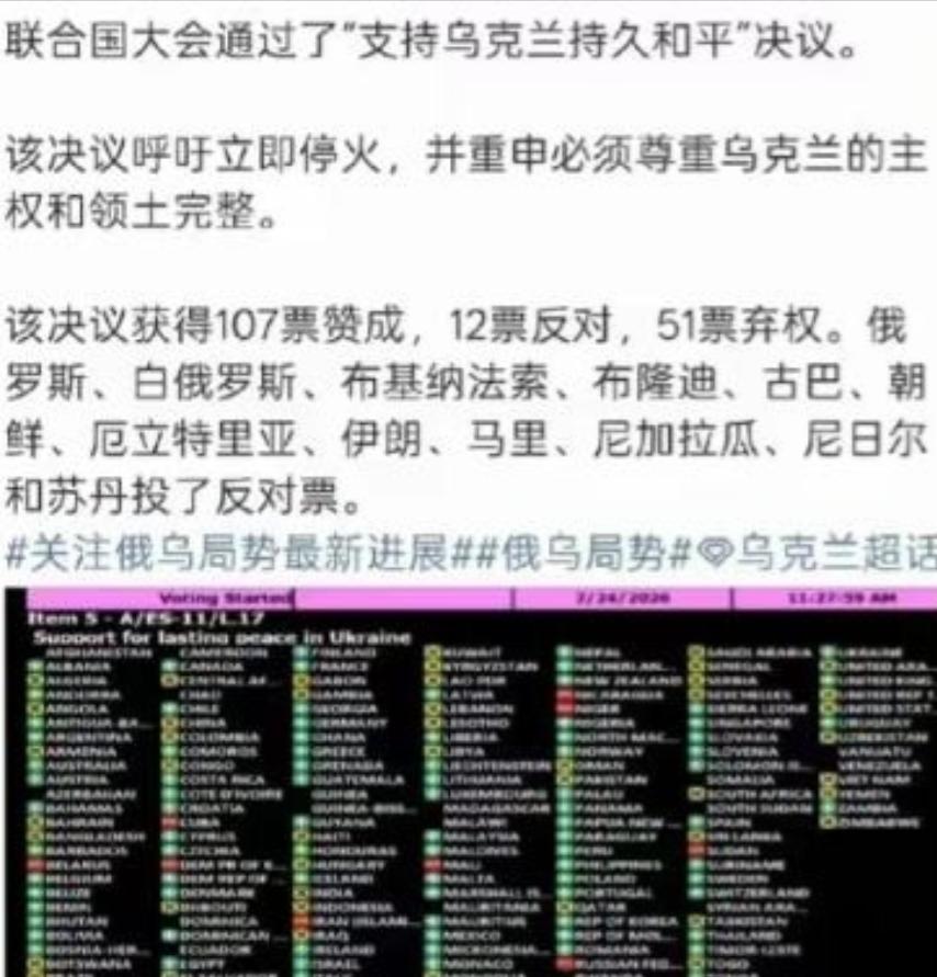 弱国无外交啊，支持乌克兰的国家只有107个，但是支持俄罗斯的国家居然高达12个。