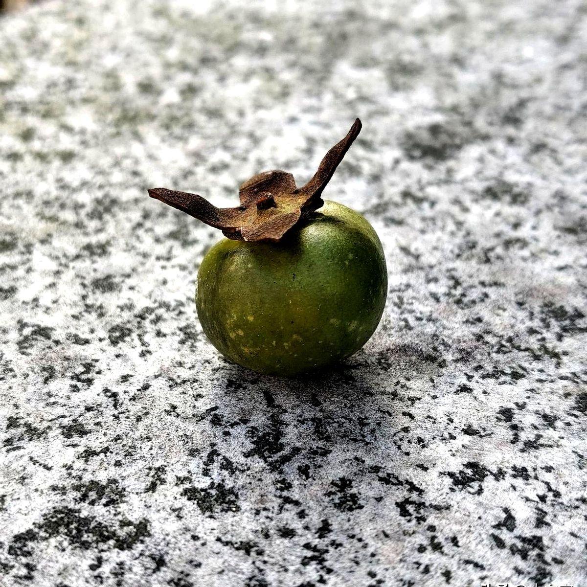 在广场上看见一位大妈，用双手各握一只羽毛球拍，边打边发出“嘿！哎！嚯！”的声音，