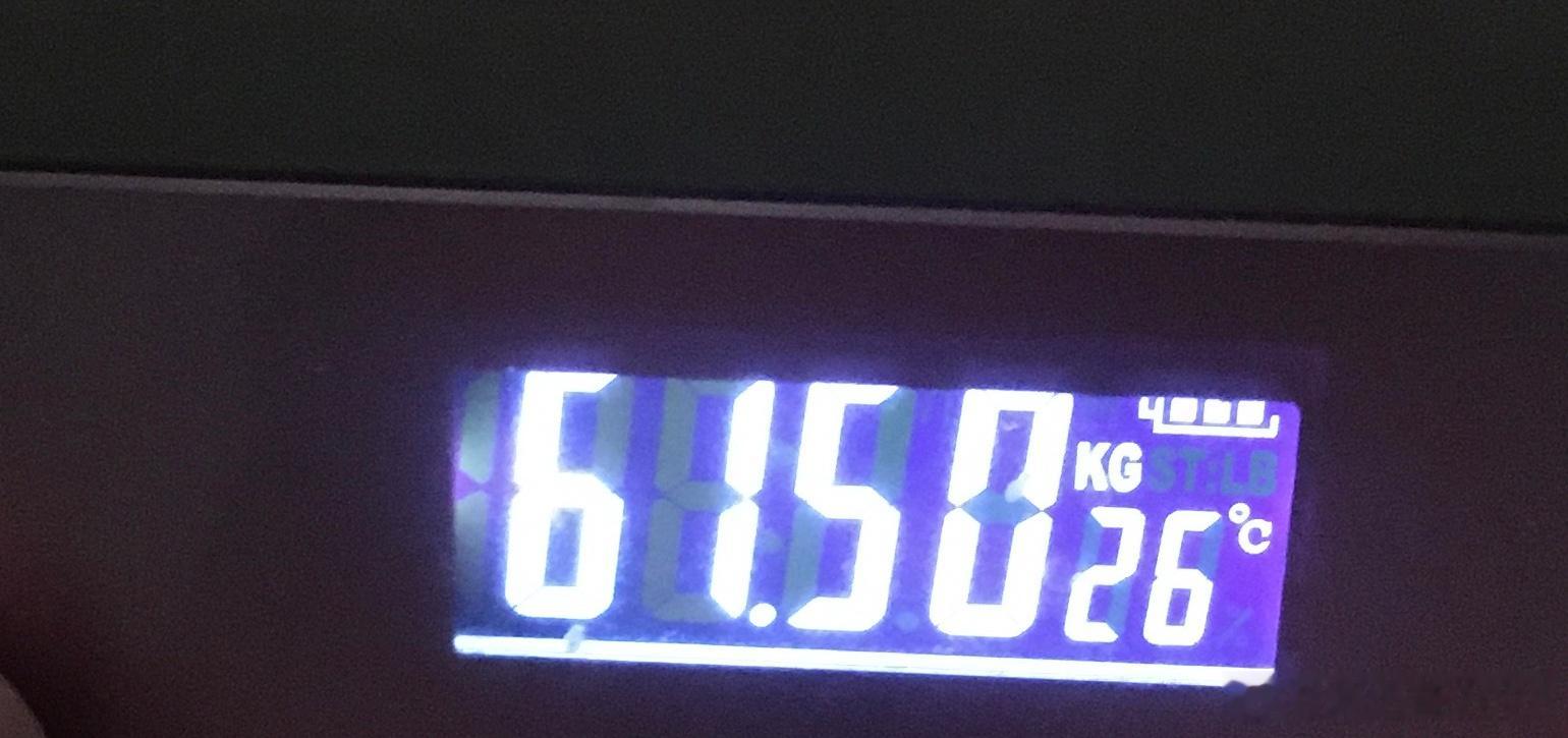 2026体重 1. 今天早上：61.5kg！（我没管，竟然自然的在下降了） 