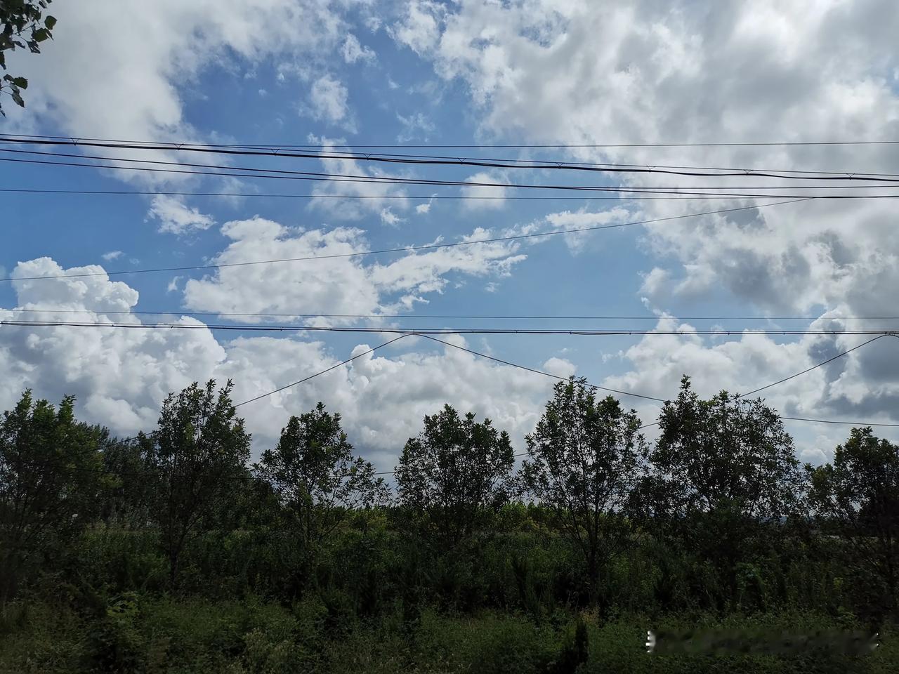 蓝天白云美不胜收，农村秋收季节看美景，不禁感叹太美好！

大家好，我是小言，来自