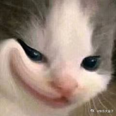 老婆刚刚兴高采烈地跟我分享了一种在网上吵架不会让自己生气又能辩赢对方的方法——把