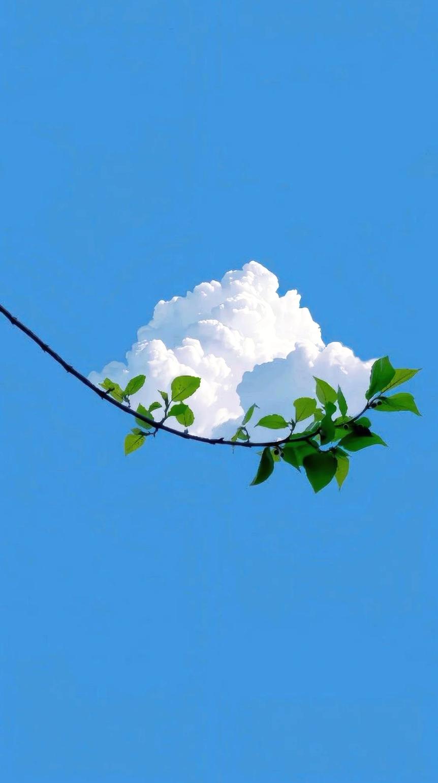 现在经济不好，
很多人平台借钱还不了，
平台天天电话打到爆，还威胁要起诉你。
