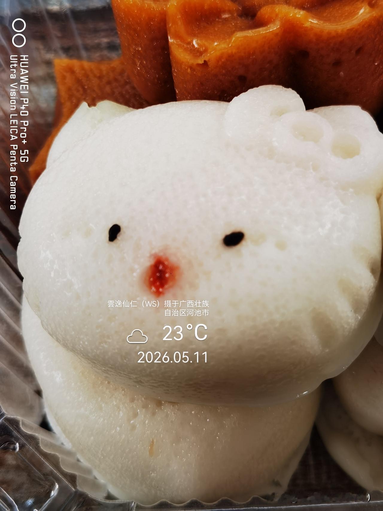 月居生活记录（9725）广西壮族自治区河池市（152）品尝小吃56：粗粮花糕（1