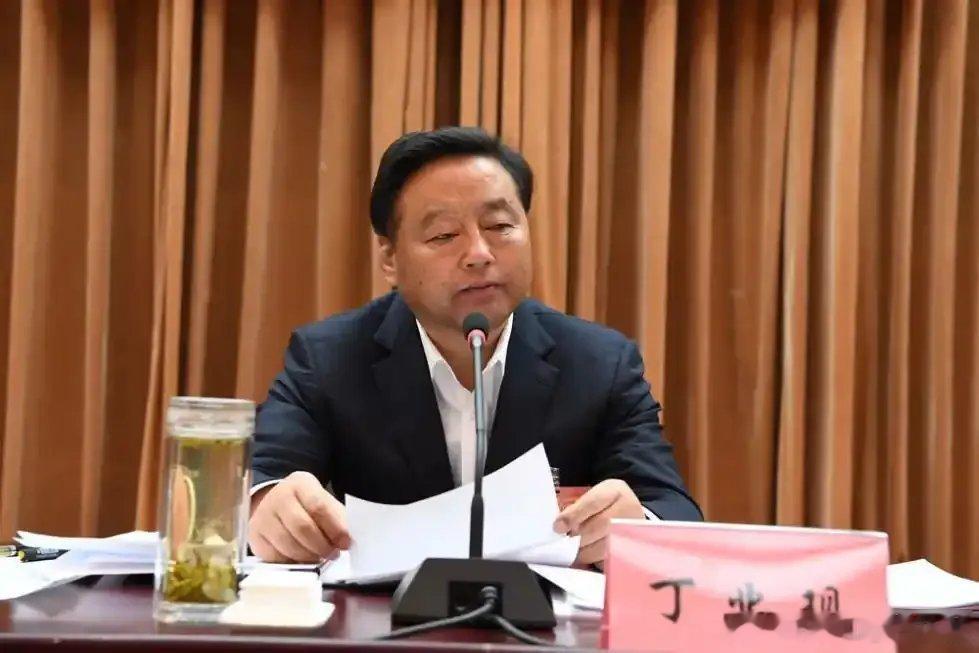 【丁业现、连辑，被开除党籍！】中央纪委国家监委网站9日消息：西藏自治区人大常委会