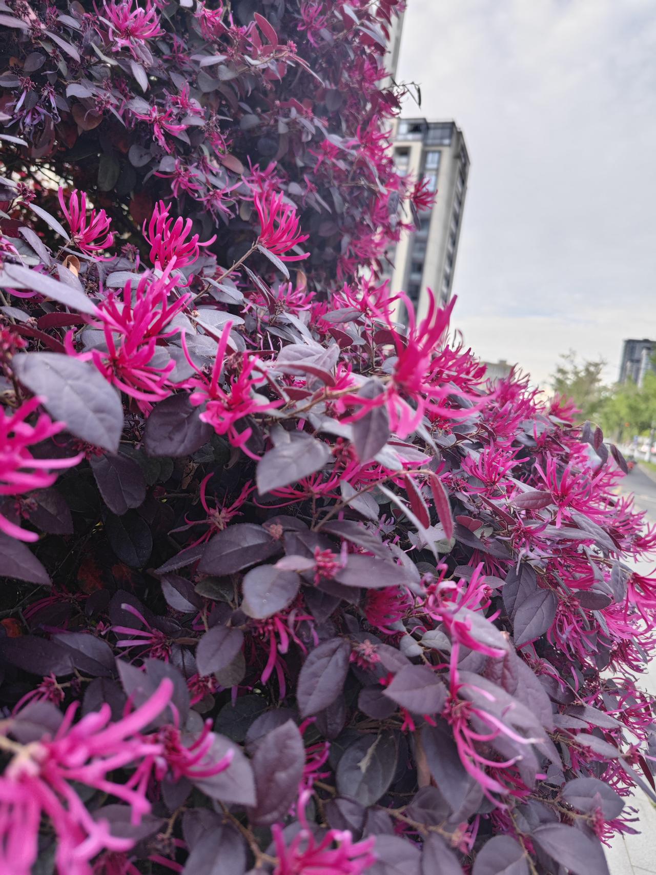 人到中年才懂：身体这架机器，保养不靠花钱，靠对路。

这十个“不花钱的养命招”，
