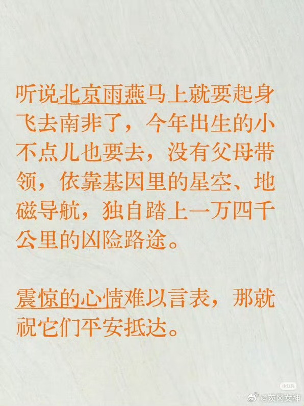 哎…… 