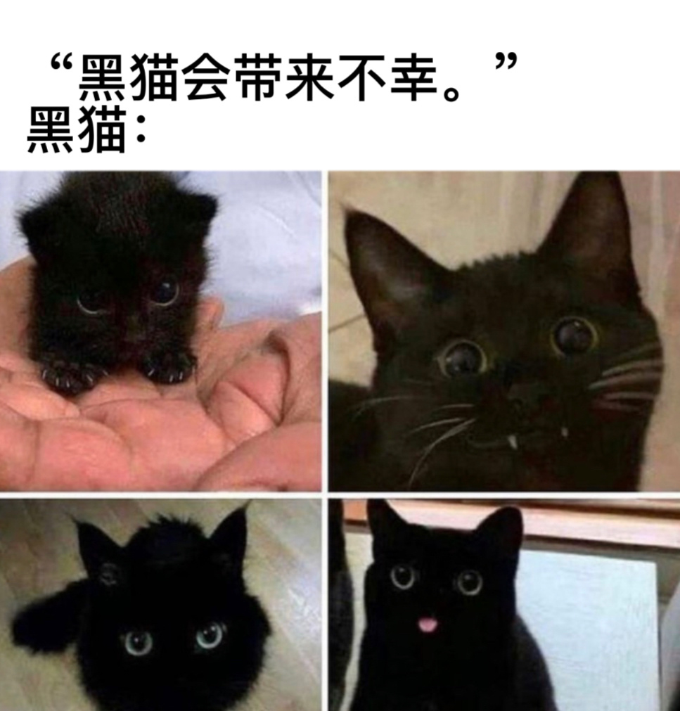 卡瓦#今日memes# //#春日cityhappy计划# ​​​