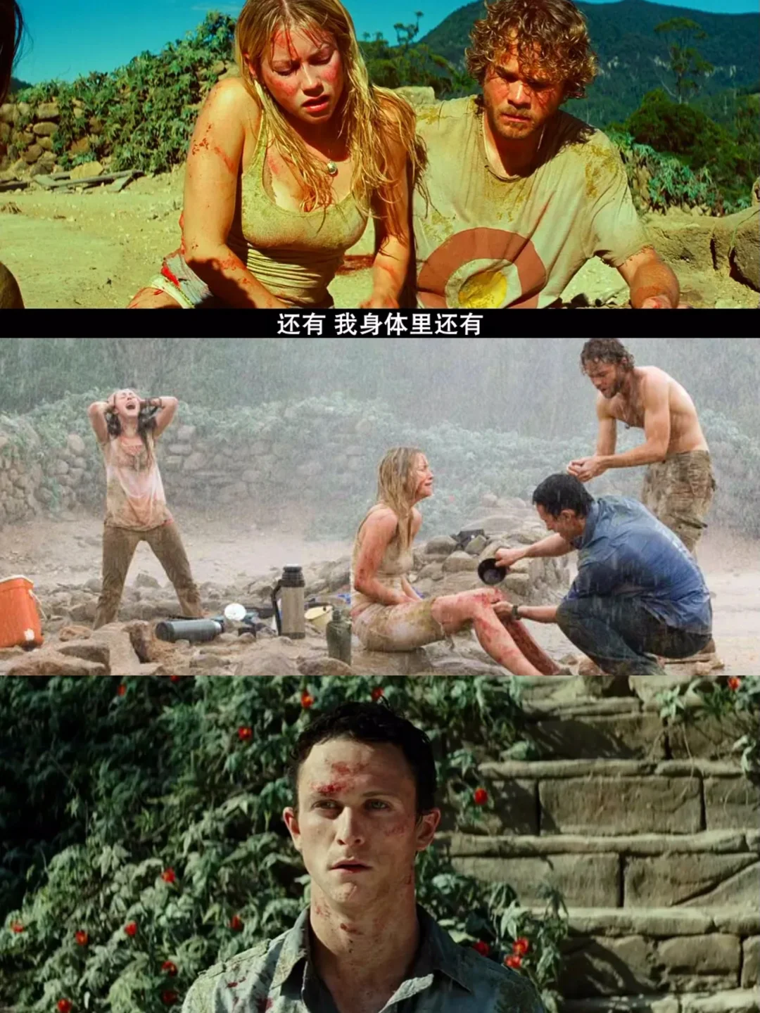 播了播了可以看🔥丧尸来袭