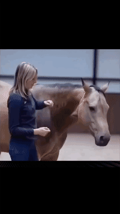 无形的枷锁紧紧束缚
想要挣脱却无能为力……
使其被困其一生。

好像我们的一生和