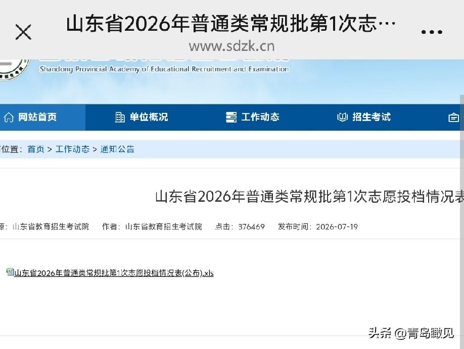 山东高考生注意，本科投档表发布，可以查录取大学了！

今天，山东发布了常规批第一